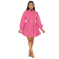 Luxe Belle Belted Shirt Dress   image 0