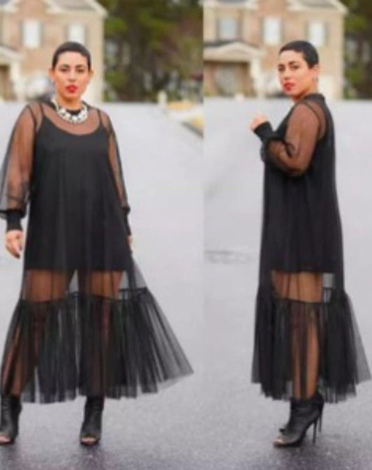 Sheer Me Top
